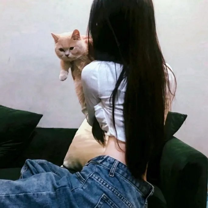 悲惨的节日